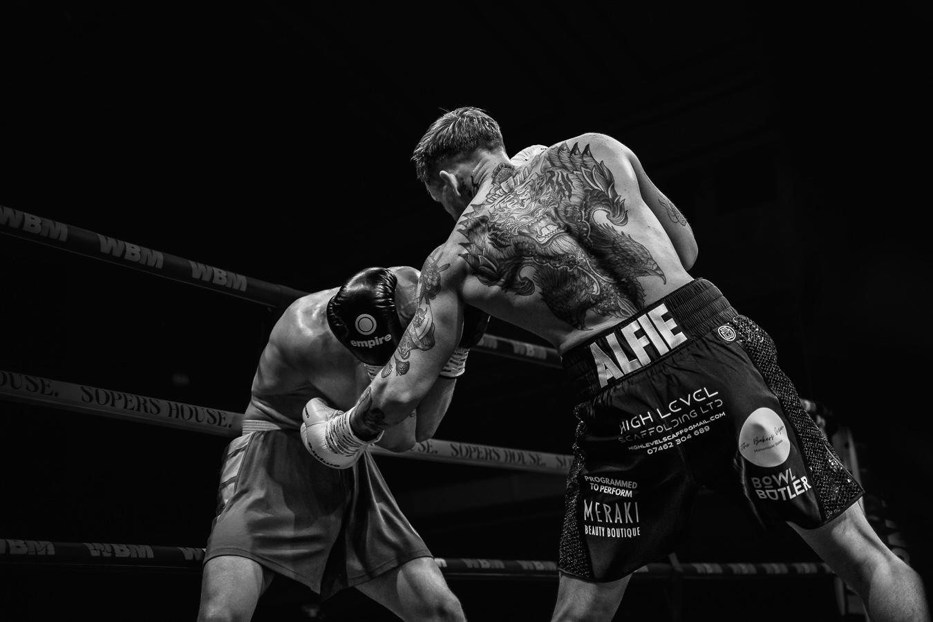 Alfie mid-fight in the ring